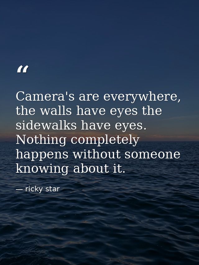 Camera's are everywhere, the walls have eyes the sidewalks have eyes. Nothing completely happens without someone knowing — ricky star