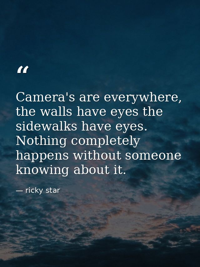Camera's are everywhere, the walls have eyes the sidewalks have eyes. Nothing completely happens without someone knowing — ricky star
