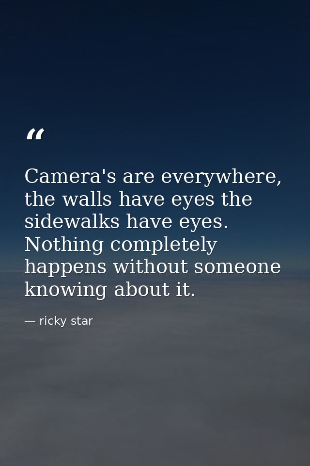Camera's are everywhere, the walls have eyes the sidewalks have eyes. Nothing completely happens without someone knowing — ricky star