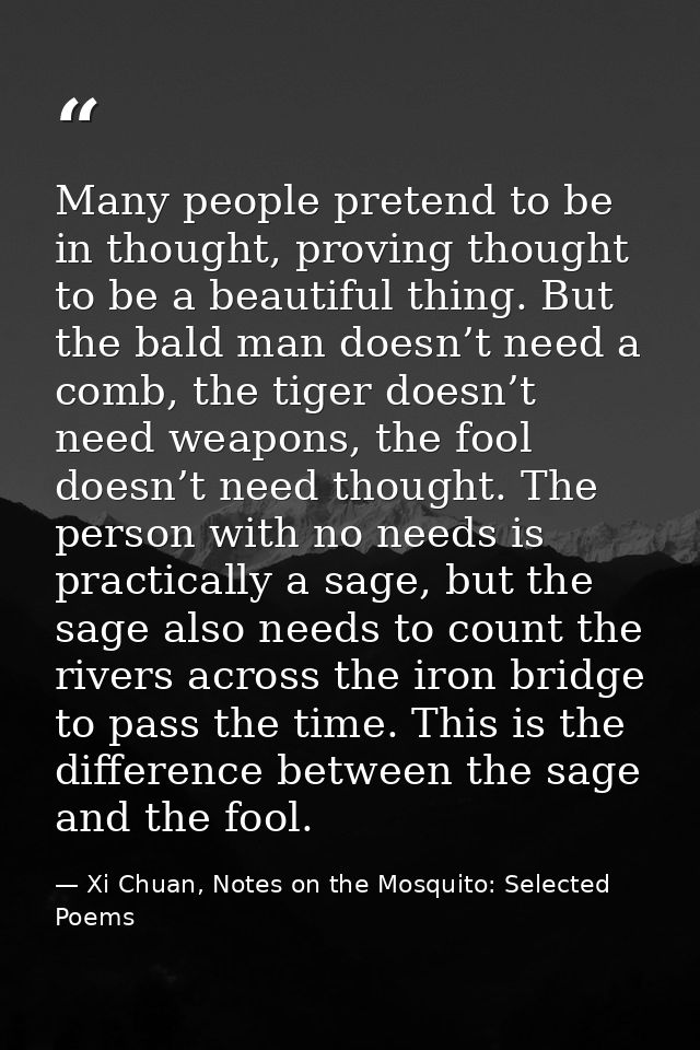 Many people pretend to be in thought, proving thought to be a beautiful thing. But the bald man doesn’t need a comb, the — Xi Chuan, Notes on the Mosquito: Selected Poems