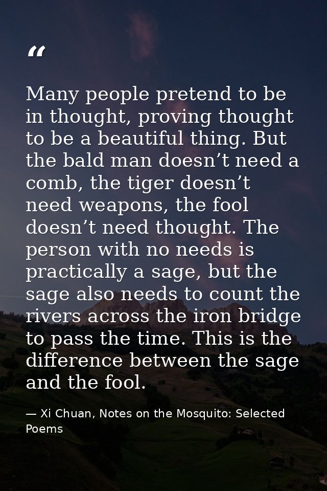 Many people pretend to be in thought, proving thought to be a beautiful thing. But the bald man doesn’t need a comb, the — Xi Chuan, Notes on the Mosquito: Selected Poems
