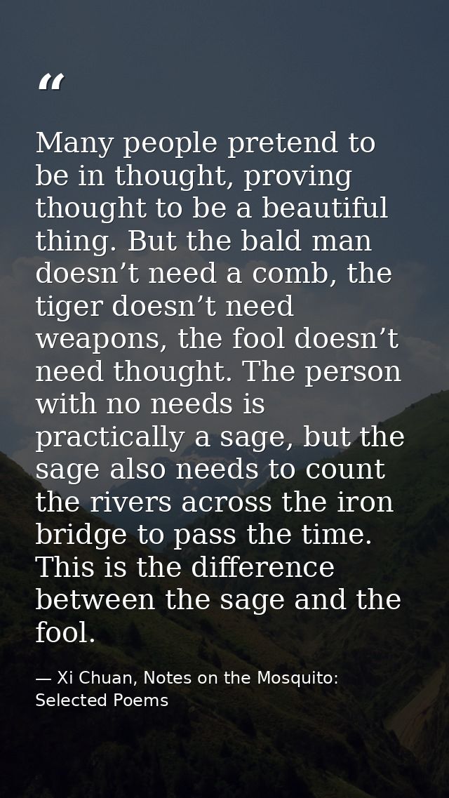Many people pretend to be in thought, proving thought to be a beautiful thing. But the bald man doesn’t need a comb, the — Xi Chuan, Notes on the Mosquito: Selected Poems