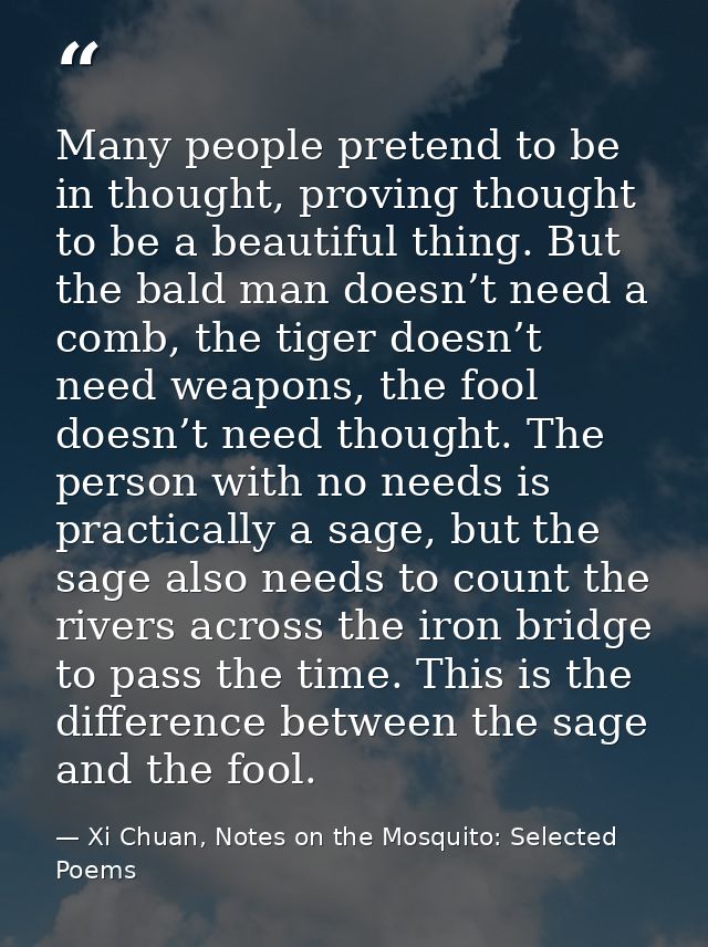 Many people pretend to be in thought, proving thought to be a beautiful thing. But the bald man doesn’t need a comb, the — Xi Chuan, Notes on the Mosquito: Selected Poems