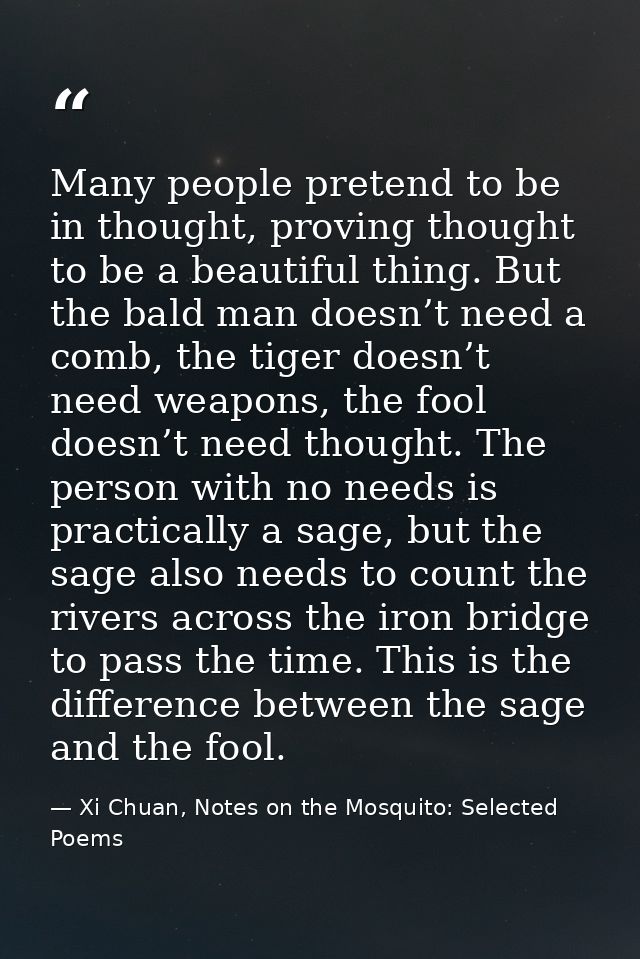 Many people pretend to be in thought, proving thought to be a beautiful thing. But the bald man doesn’t need a comb, the — Xi Chuan, Notes on the Mosquito: Selected Poems