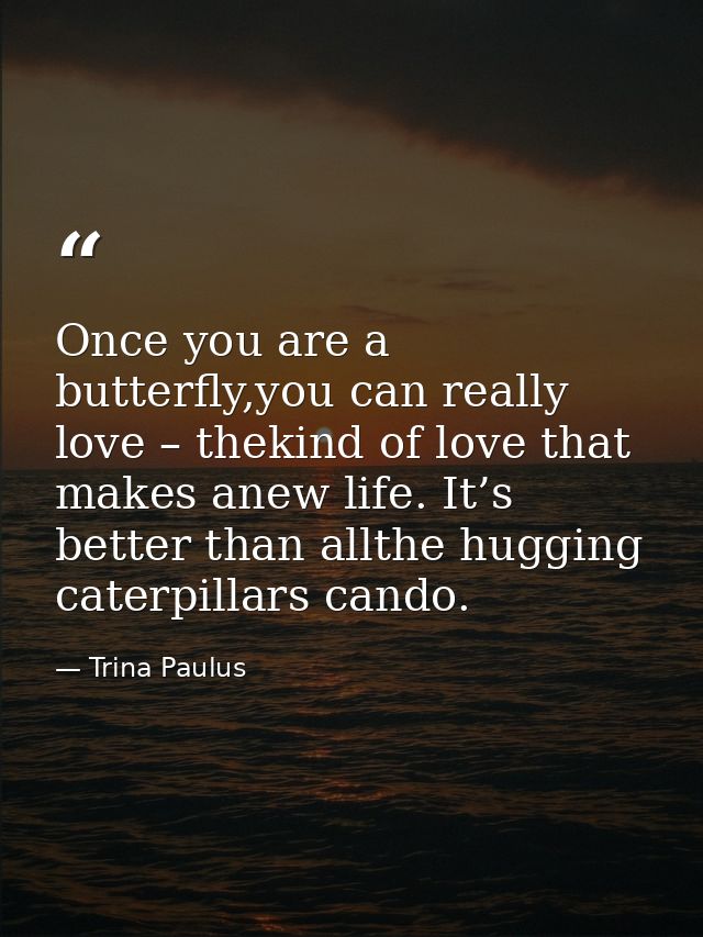 Once you are a butterfly,you can really love – thekind of love that makes anew life. It’s better than allthe hugging cat — Trina Paulus
