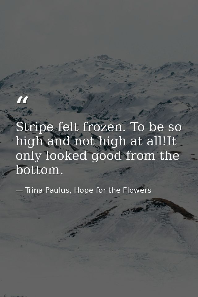 Stripe felt frozen. To be so high and not high at all!It only looked good from the bottom. — Trina Paulus, Hope for the Flowers