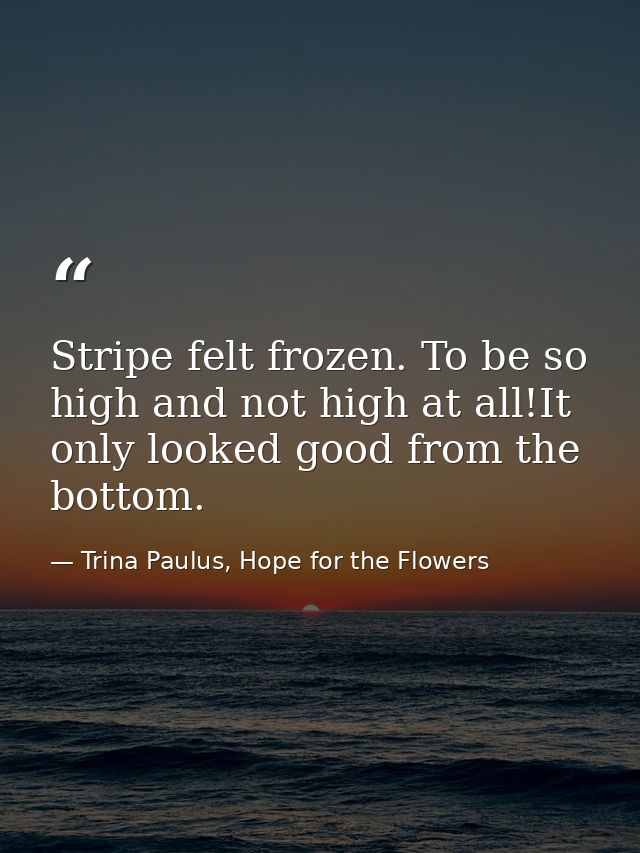 Stripe felt frozen. To be so high and not high at all!It only looked good from the bottom. — Trina Paulus, Hope for the Flowers