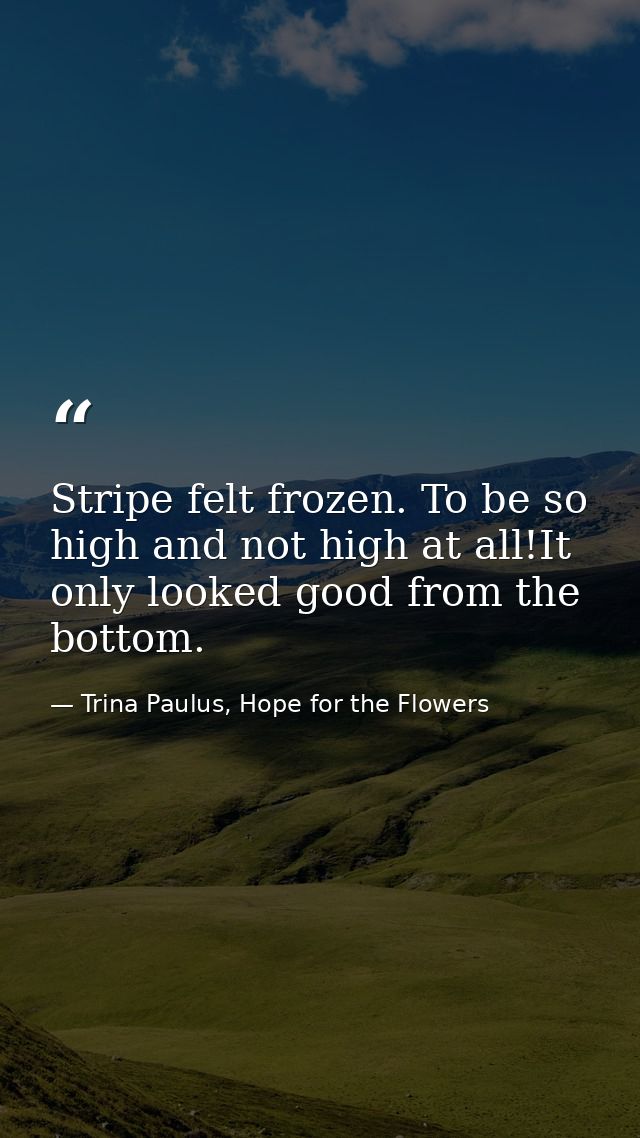 Stripe felt frozen. To be so high and not high at all!It only looked good from the bottom. — Trina Paulus, Hope for the Flowers