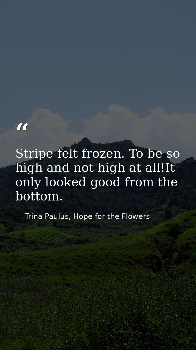 Stripe felt frozen. To be so high and not high at all!It only looked good from the bottom. — Trina Paulus, Hope for the Flowers