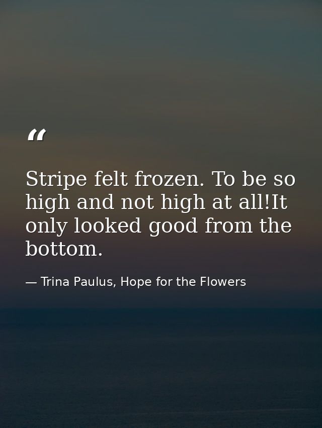 Stripe felt frozen. To be so high and not high at all!It only looked good from the bottom. — Trina Paulus, Hope for the Flowers
