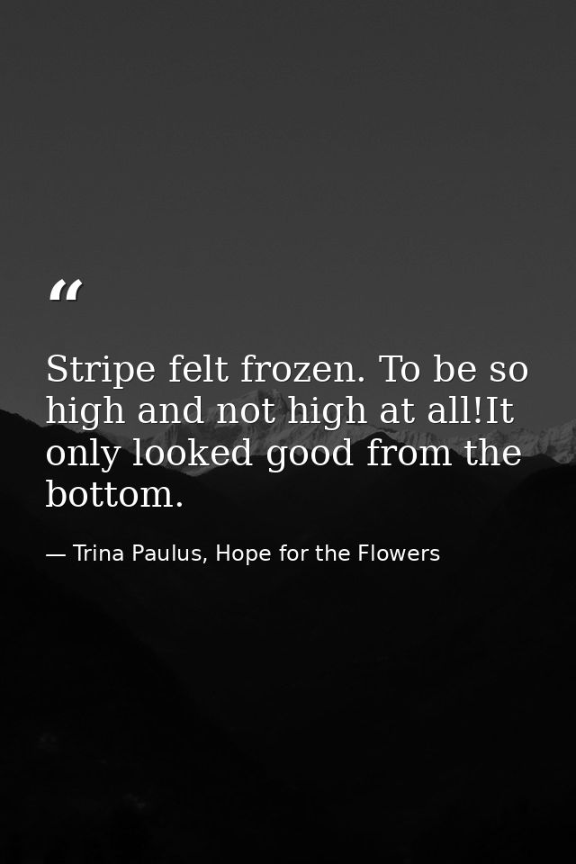 Stripe felt frozen. To be so high and not high at all!It only looked good from the bottom. — Trina Paulus, Hope for the Flowers