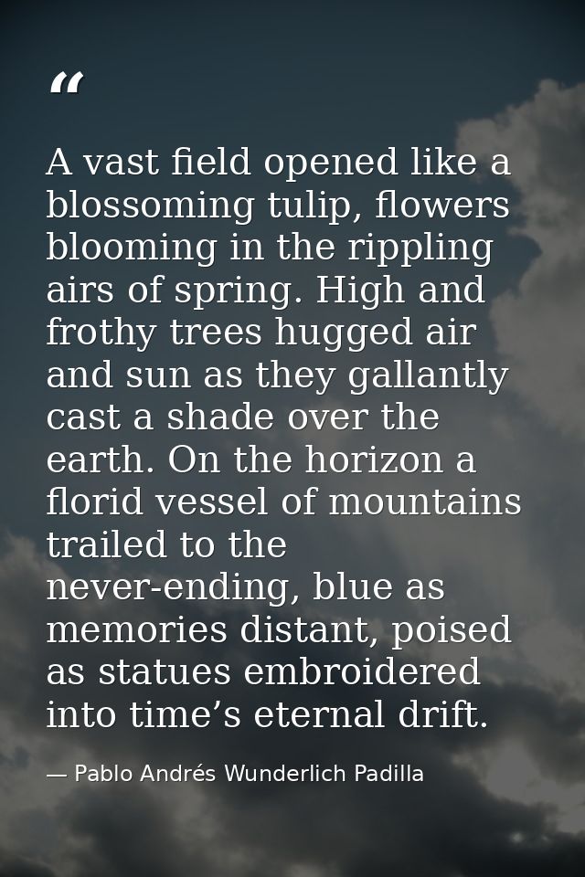 A vast field opened like a blossoming tulip, flowers blooming in the rippling airs of spring. High and frothy trees hugg — Pablo Andrés Wunderlich Padilla