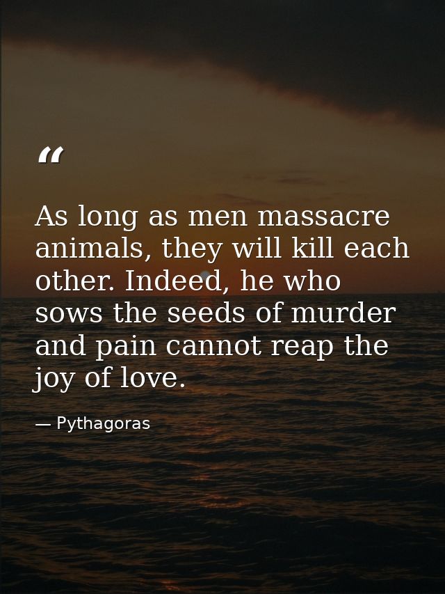 As long as men massacre animals, they will kill each other. Indeed, he who sows the seeds of murder and pain cannot reap — Pythagoras