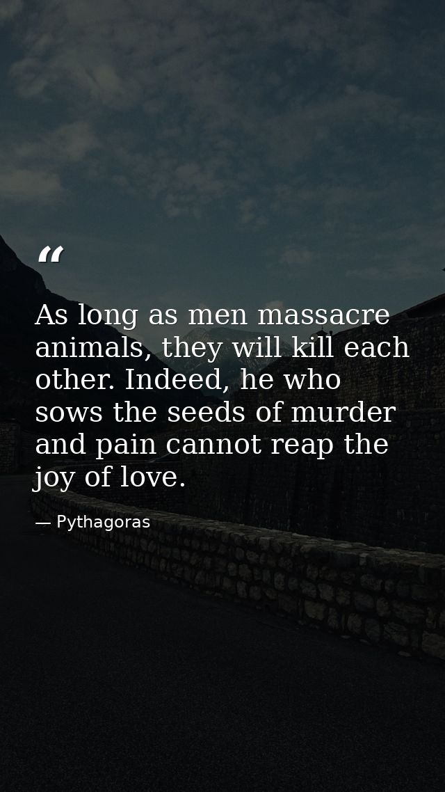 As long as men massacre animals, they will kill each other. Indeed, he who sows the seeds of murder and pain cannot reap — Pythagoras
