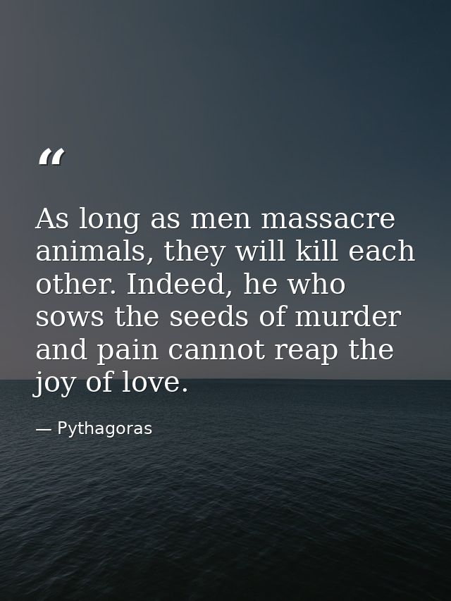 As long as men massacre animals, they will kill each other. Indeed, he who sows the seeds of murder and pain cannot reap — Pythagoras