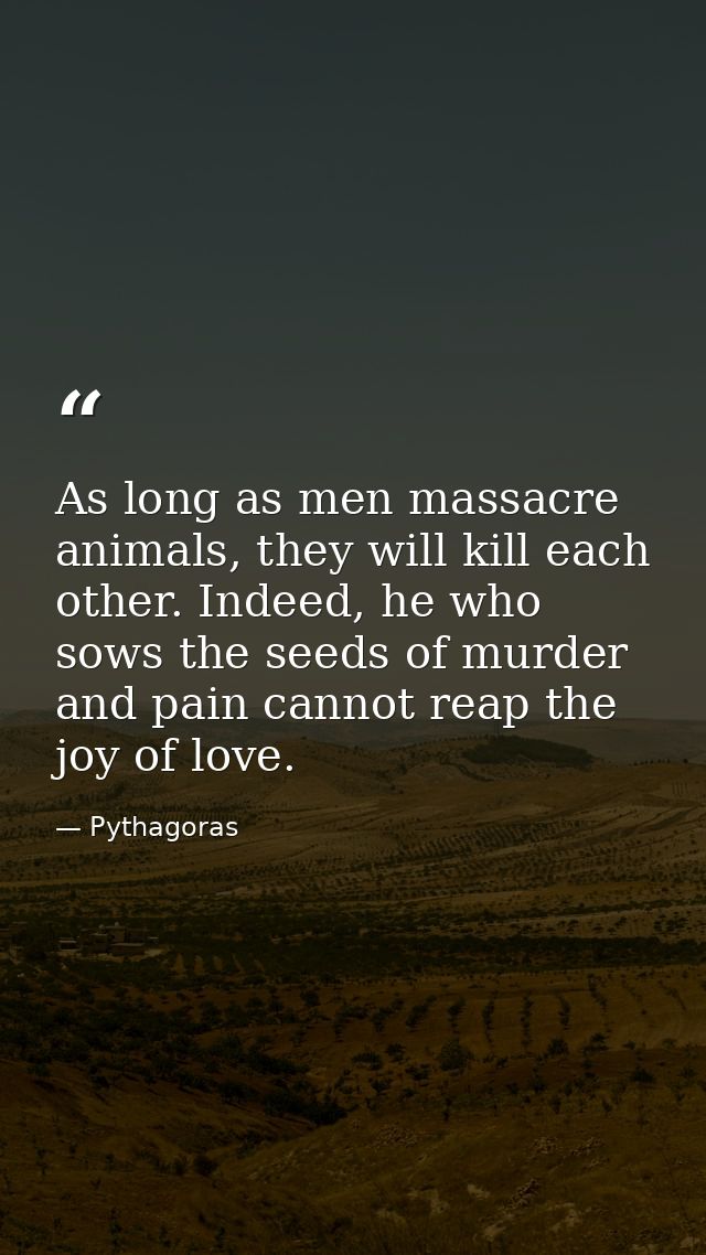 As long as men massacre animals, they will kill each other. Indeed, he who sows the seeds of murder and pain cannot reap — Pythagoras