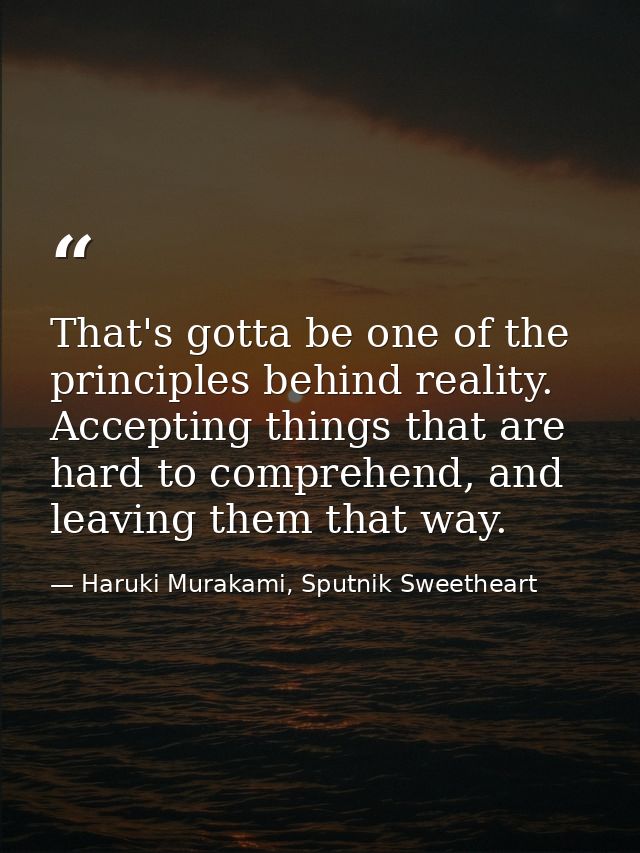 That's gotta be one of the principles behind reality. Accepting things that are hard to comprehend, and leaving them tha — Haruki Murakami, Sputnik Sweetheart