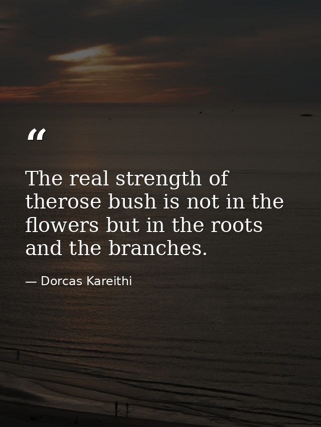 The real strength of therose bush is not in the flowers but in the roots and the branches. — Dorcas Kareithi