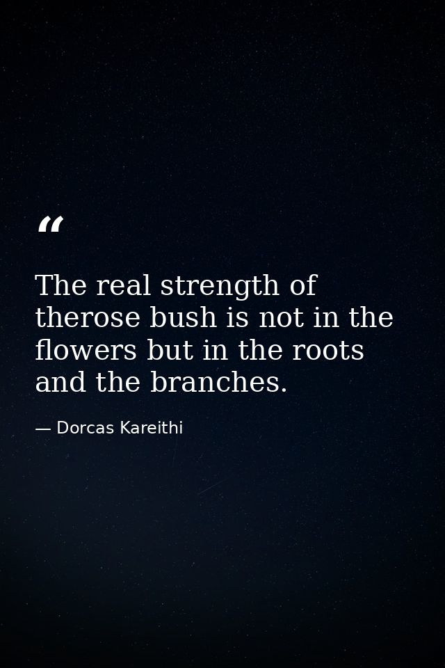 The real strength of therose bush is not in the flowers but in the roots and the branches. — Dorcas Kareithi