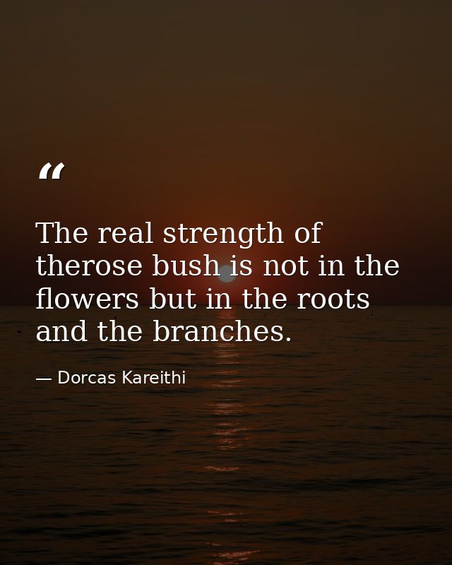 The real strength of therose bush is not in the flowers but in the roots and the branches. — Dorcas Kareithi