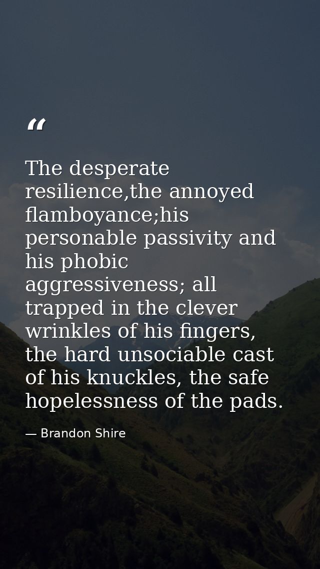 The desperate resilience,the annoyed flamboyance;his personable passivity and his phobic aggressiveness; all trapped in  — Brandon Shire