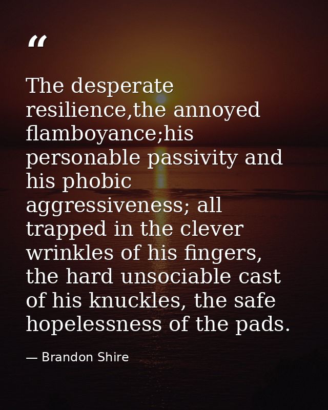 The desperate resilience,the annoyed flamboyance;his personable passivity and his phobic aggressiveness; all trapped in  — Brandon Shire