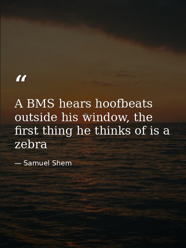 A BMS hears hoofbeats outside his window, the first thing he thinks of is a zebra — Samuel Shem