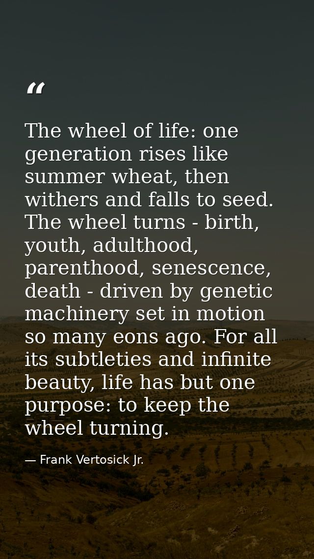 The wheel of life: one generation rises like summer wheat, then withers and falls to seed. The wheel turns - birth, yout — Frank Vertosick Jr.