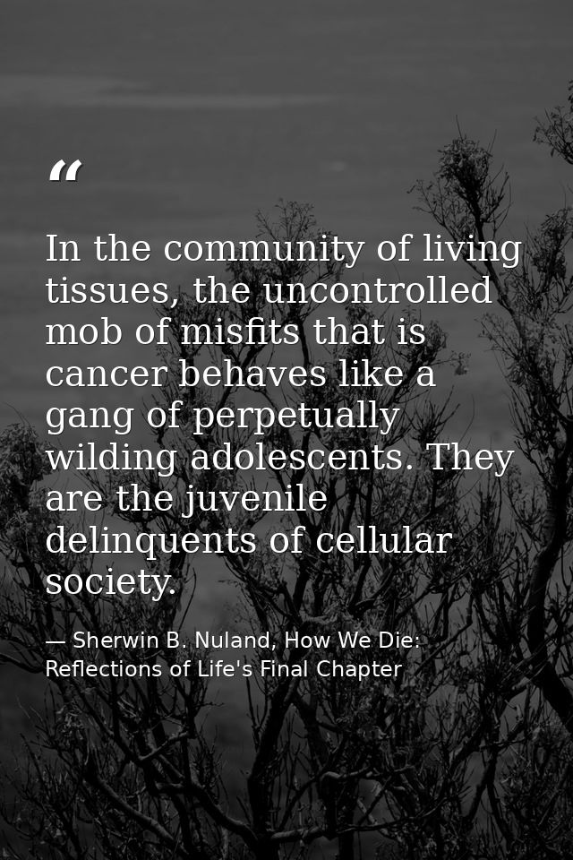 In the community of living tissues, the uncontrolled mob of misfits that is cancer behaves like a gang of perpetually wi — Sherwin B. Nuland, How We Die: Reflections of Life's Final Chapter
