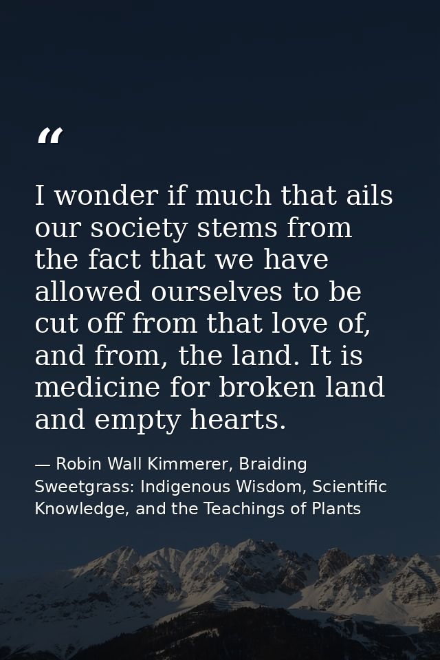 I wonder if much that ails our society stems from the fact that we have allowed ourselves to be cut off from that love o — Robin Wall Kimmerer, Braiding Sweetgrass: Indigenous Wisdom, Scientific Knowledge, and the Teachings of Plants