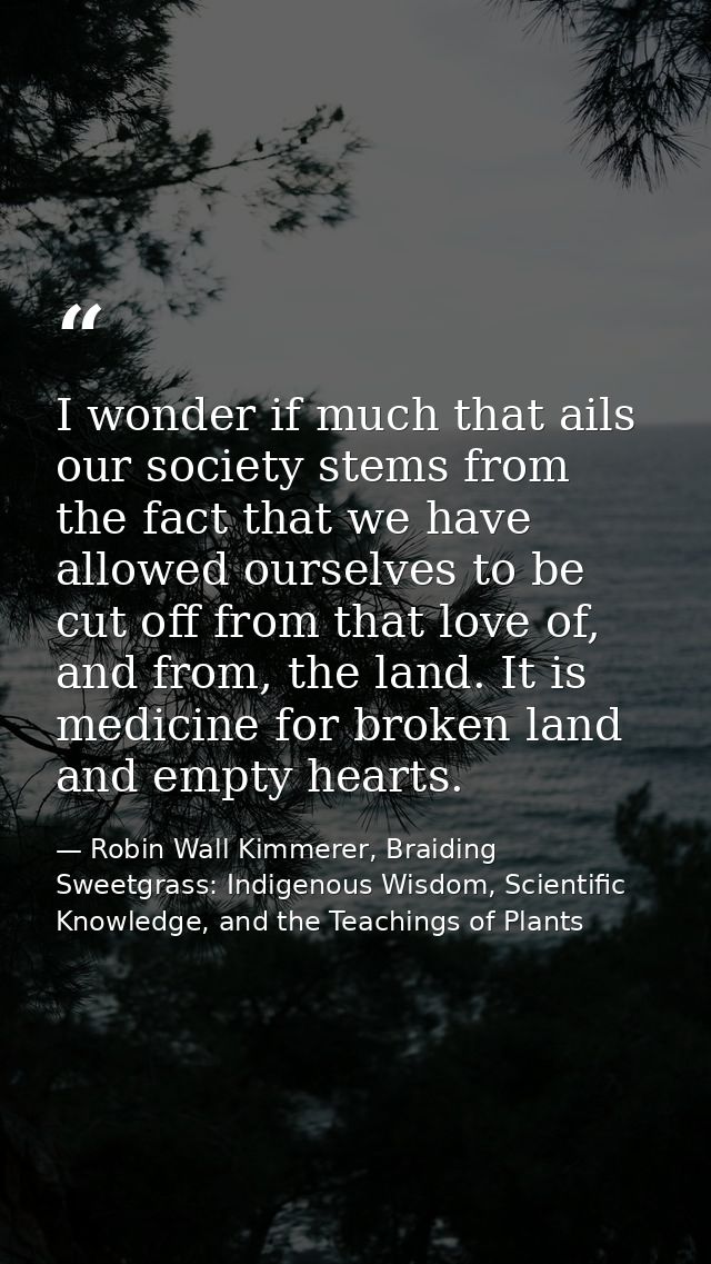 I wonder if much that ails our society stems from the fact that we have allowed ourselves to be cut off from that love o — Robin Wall Kimmerer, Braiding Sweetgrass: Indigenous Wisdom, Scientific Knowledge, and the Teachings of Plants