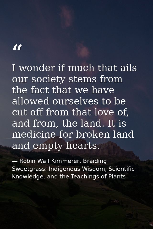 I wonder if much that ails our society stems from the fact that we have allowed ourselves to be cut off from that love o — Robin Wall Kimmerer, Braiding Sweetgrass: Indigenous Wisdom, Scientific Knowledge, and the Teachings of Plants