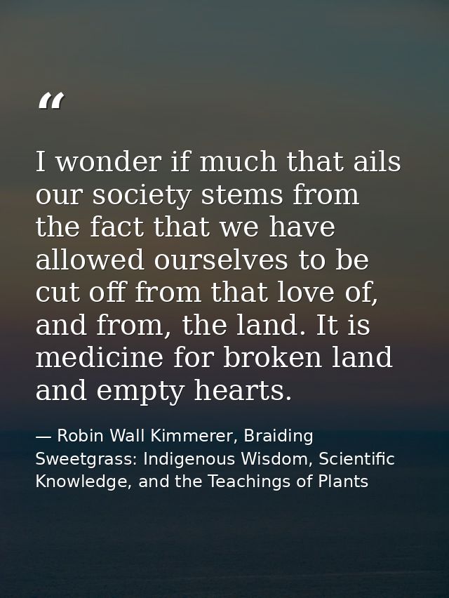 I wonder if much that ails our society stems from the fact that we have allowed ourselves to be cut off from that love o — Robin Wall Kimmerer, Braiding Sweetgrass: Indigenous Wisdom, Scientific Knowledge, and the Teachings of Plants