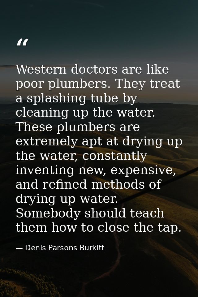 Western doctors are like poor plumbers. They treat a splashing tube by cleaning up the water. These plumbers are extreme — Denis Parsons Burkitt