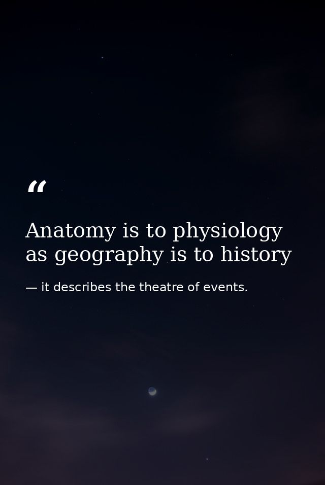 Anatomy is to physiology as geography is to history — it describes the theatre of events.