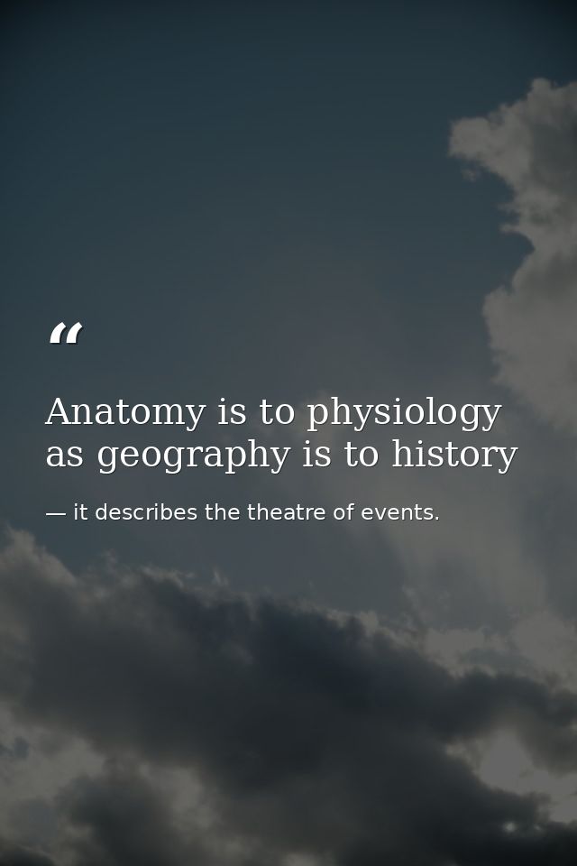 Anatomy is to physiology as geography is to history — it describes the theatre of events.