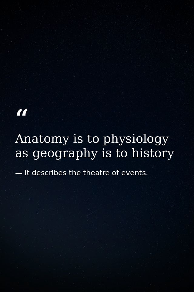 Anatomy is to physiology as geography is to history — it describes the theatre of events.
