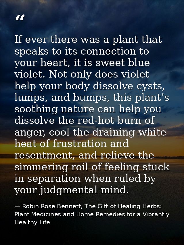 If ever there was a plant that speaks to its connection to your heart, it is sweet blue violet. Not only does violet hel — Robin Rose Bennett, The Gift of Healing Herbs: Plant Medicines and Home Remedies for a Vibrantly Healthy Life