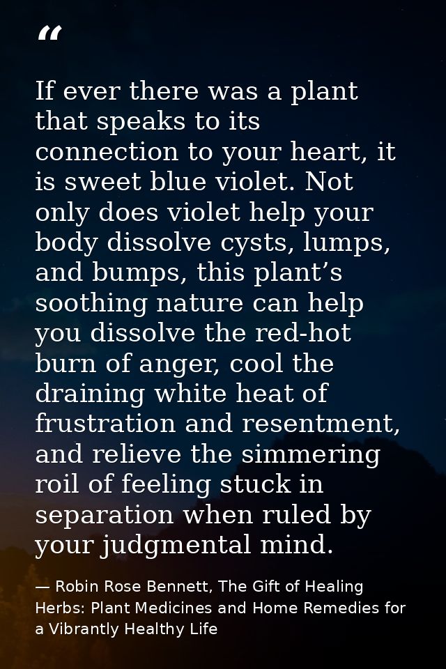 If ever there was a plant that speaks to its connection to your heart, it is sweet blue violet. Not only does violet hel — Robin Rose Bennett, The Gift of Healing Herbs: Plant Medicines and Home Remedies for a Vibrantly Healthy Life