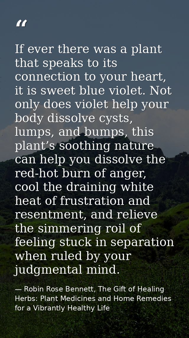 If ever there was a plant that speaks to its connection to your heart, it is sweet blue violet. Not only does violet hel — Robin Rose Bennett, The Gift of Healing Herbs: Plant Medicines and Home Remedies for a Vibrantly Healthy Life