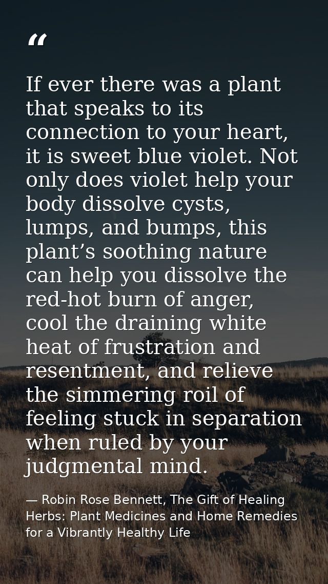 If ever there was a plant that speaks to its connection to your heart, it is sweet blue violet. Not only does violet hel — Robin Rose Bennett, The Gift of Healing Herbs: Plant Medicines and Home Remedies for a Vibrantly Healthy Life