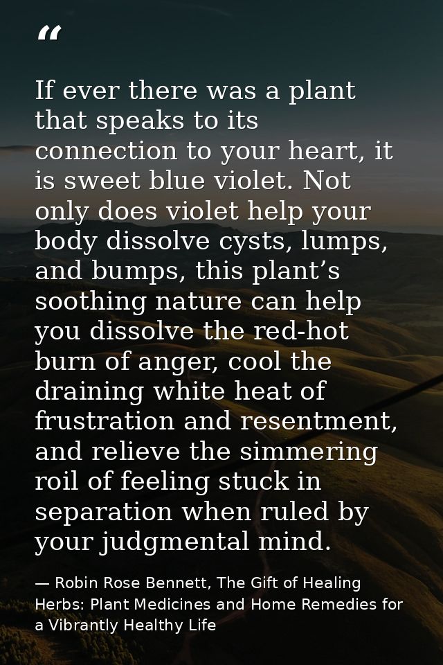 If ever there was a plant that speaks to its connection to your heart, it is sweet blue violet. Not only does violet hel — Robin Rose Bennett, The Gift of Healing Herbs: Plant Medicines and Home Remedies for a Vibrantly Healthy Life
