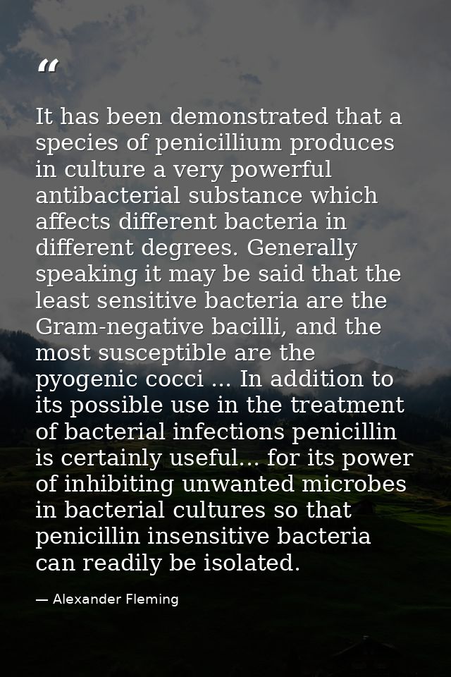 It has been demonstrated that a species of penicillium produces in culture a very powerful antibacterial substance which — Alexander Fleming