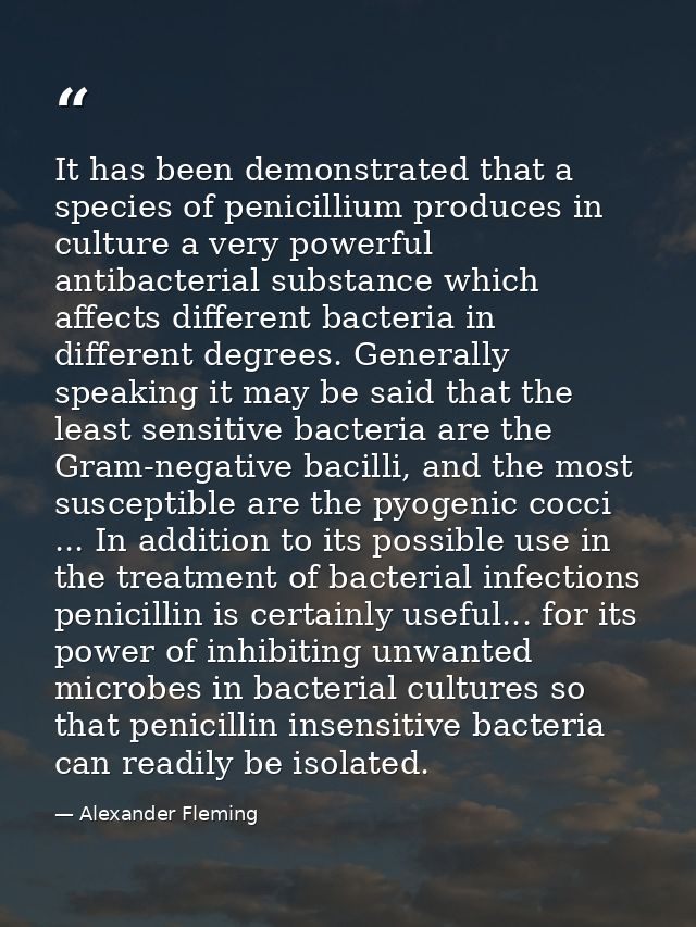 It has been demonstrated that a species of penicillium produces in culture a very powerful antibacterial substance which — Alexander Fleming