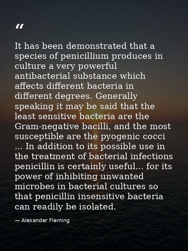 It has been demonstrated that a species of penicillium produces in culture a very powerful antibacterial substance which — Alexander Fleming