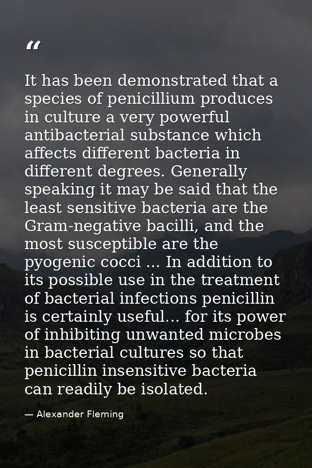 It has been demonstrated that a species of penicillium produces in culture a very powerful antibacterial substance which — Alexander Fleming