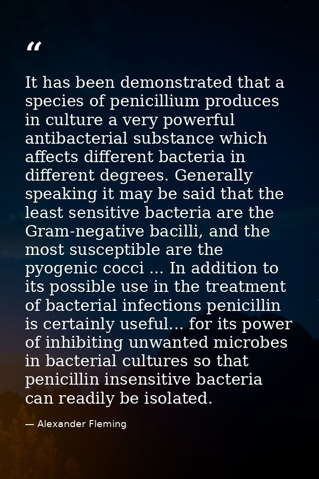 It has been demonstrated that a species of penicillium produces in culture a very powerful antibacterial substance which — Alexander Fleming