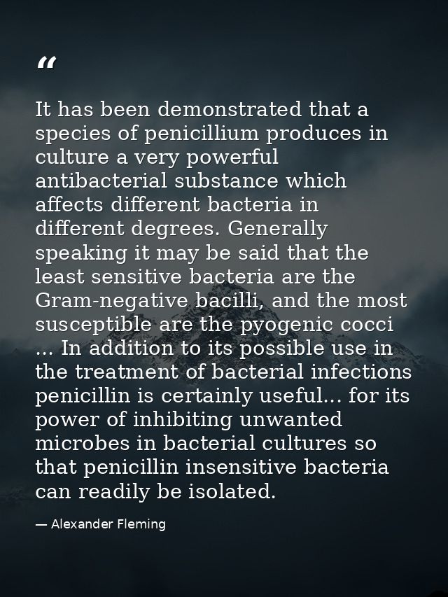 It has been demonstrated that a species of penicillium produces in culture a very powerful antibacterial substance which — Alexander Fleming