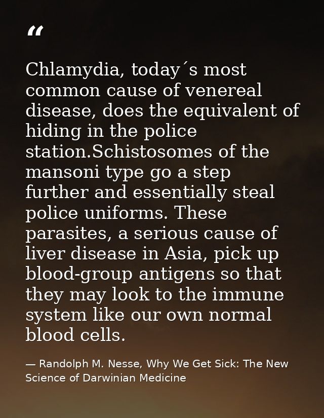 Chlamydia, today´s most common cause of venereal disease, does the equivalent of hiding in the police station.Schistosom — Randolph M. Nesse, Why We Get Sick: The New Science of Darwinian Medicine