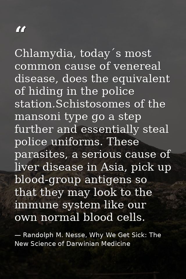 Chlamydia, today´s most common cause of venereal disease, does the equivalent of hiding in the police station.Schistosom — Randolph M. Nesse, Why We Get Sick: The New Science of Darwinian Medicine